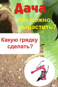 Книга Что можно вырастить? Какую грядку сделать?