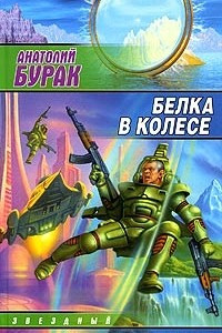 Книга Белка в колесе