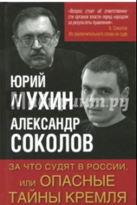 Книга За что судят в России, или Опасные тайны Кремля