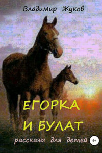 Книга Егорка и Булат