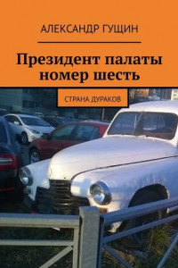 Книга Президент палаты номер шесть. Страна дураков