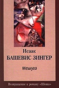 Книга Мешуга