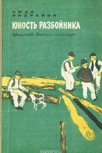 Книга Юность разбойника