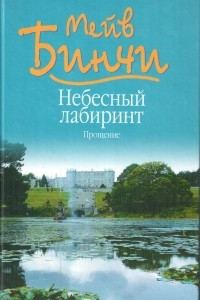 Книга Небесный лабиринт. Прощение