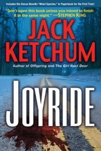 Книга Joyride