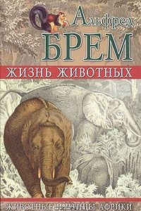 Книга Жизнь животных. Животные и птицы Африки