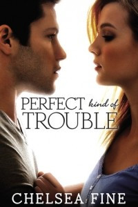 Книга Perfect Kind of Trouble