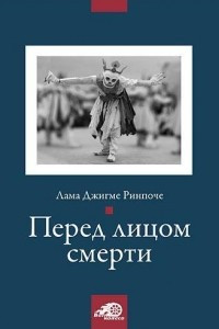 Книга Перед лицом смерти