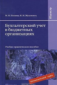 Книга Бухгалтерский учет в бюджетных организациях