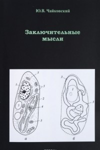 Книга Заключительные мысли