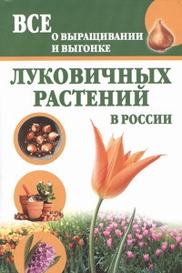 Книга Все о выращивании и выгонке луковичных растений в России