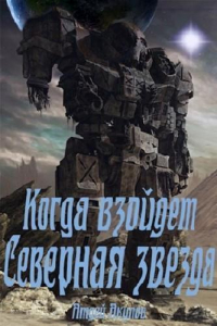 Книга Когда взойдет Северная звезда – 1