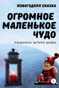 Книга Огромное маленькое чудо