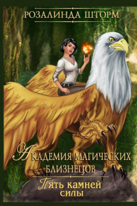 Книга Пять камней силы