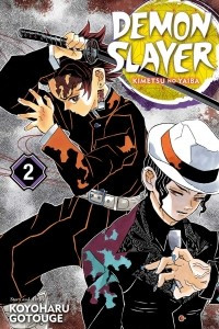 Книга Demon Slayer: Kimetsu no Yaiba, Vol. 2