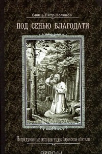 Книга Под сенью благодати. Непридуманные истории чудес Саровской обители