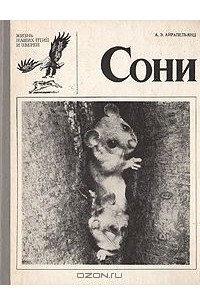 Книга Сони