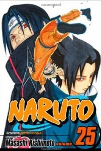 Книга Naruto, Vol. 25: Brothers