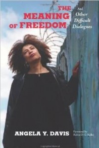 Книга The Meaning of Freedom: And Other Difficult Dialogues (City Lights Open Media)