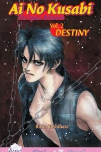 Книга Ai No Kusabi The Space Between Volume 2: Destiny