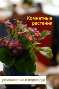 Книга Комнатные растения. Размножение и пересадка