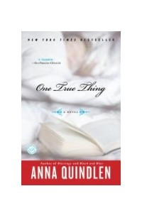 Книга One True Thing