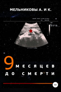 Книга 9 месяцев до смерти