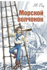 Книга Морской волчонок