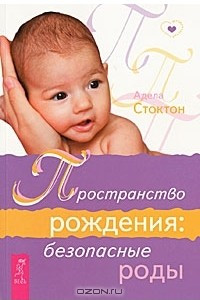 Книга Пространство рождения. Безопасные роды