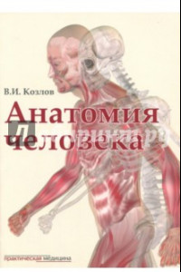 Книга Анатомия человека. Учебник