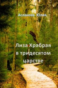 Книга Лиза Храбрая в тридесятом царстве