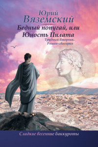 Книга Бедный попугай, или Юность Пилата. Трудный вторник. Роман-свасория