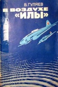 Книга В воздухе «илы»