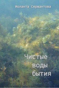 Книга Чистые воды бытия