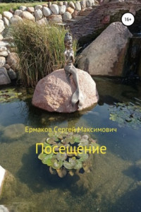 Книга Посещение