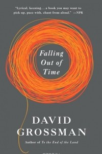 Книга Falling Out of Time