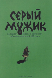 Книга Серый мужик