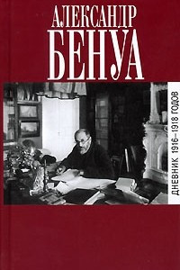 Книга Дневник 1916-1918 годов