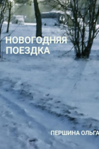 Книга Новогодняя поездка