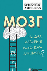 Книга Мозг: чердак, лабиринт или опора для шляпы?